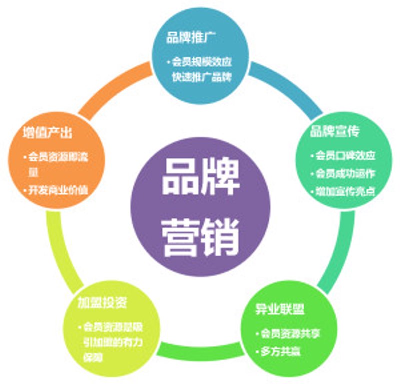 掌握高效视频制作技巧，让你的创意发光